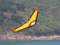 Windrider BEE2 EPP COMBAT WING (New Tooling)